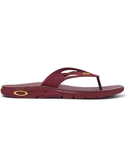 Men's Ellipse Flip Sandals