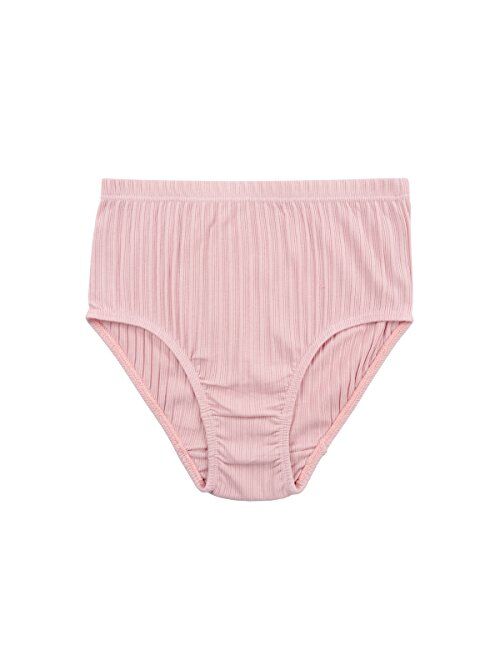 Buy Knitlord Women's Plus Size Underwear Cotton 6 Pack Comfort Briefs  Panties online