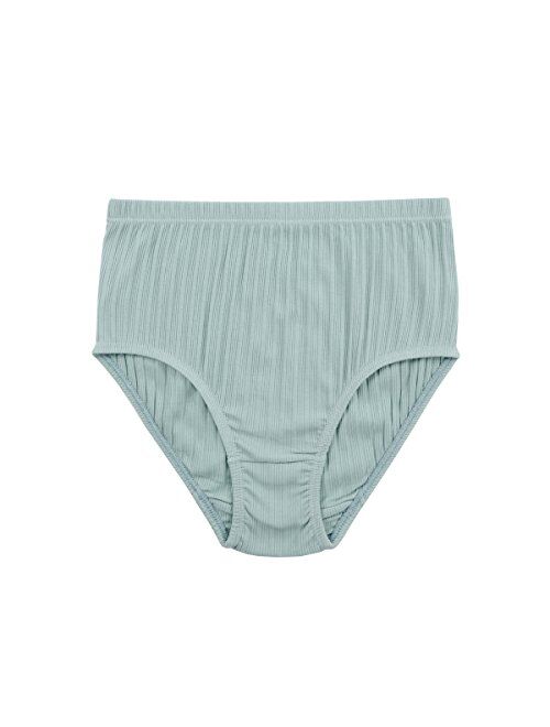 https://www.topofstyle.com/image/1/00/30/u9/10030u9-knitlord-women-s-plus-size-underwear-cotton-6-pack-comfort-briefs_500x660_6.jpg