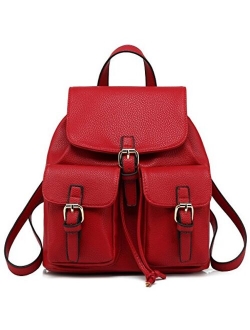 Chic Casual Fashion Handbag Backpack H1608