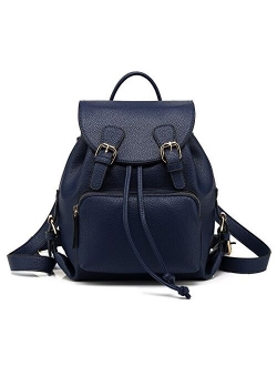 Chic Casual Fashion Handbag Backpack H1608