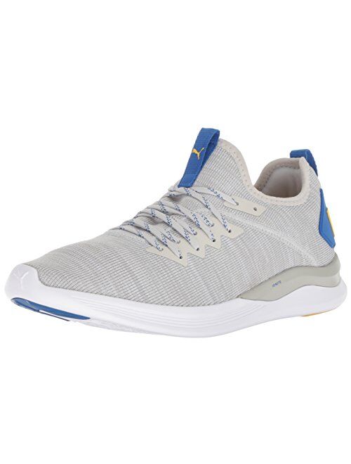 PUMA Ignite Flash Men's Evoknit Sneaker Shoes