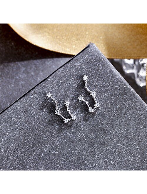 BriLove Women 925 Sterling Silver CZ Horoscope Zodiac 12 Constellation Astrology Ear Crawler Post Earrings