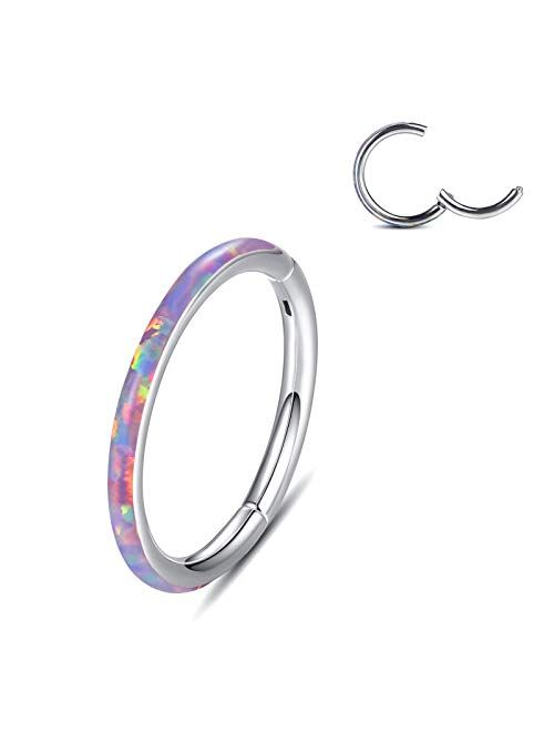 WBRWP 316L Stainless-Steel Piercing-Ring Hinged Nose-Rings-Hoop with Zircon/Opal 14G 16G 18G 20g Body Pierecing Ring Segment Clicker Lip Rings Cartilage Rook Earrings Dia