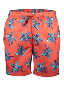 Men's Havana Swim Trunks (Regular & Extended Sizes)