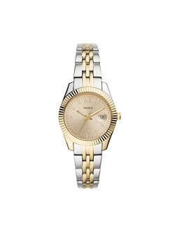 Women's Scarlette Mini Stainless Steel Quartz Watch