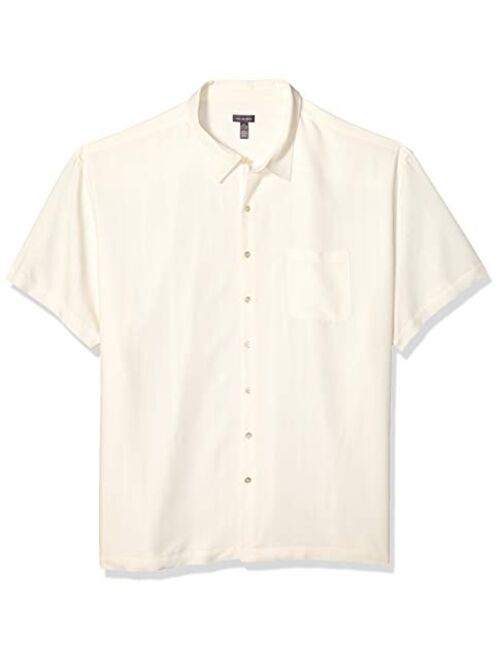 Van Heusen Men's Big and Tall Air Short Sleeve Button Down Poly Rayon Stripe Shirt