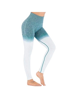 Womens High Waist Seamless Leggings Gym Tight Yoga Pants Tummy Control Workout Leggings Fitness Shark