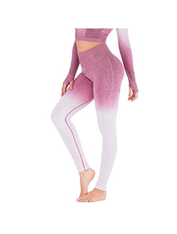 Womens High Waist Seamless Leggings Gym Tight Yoga Pants Tummy Control Workout Leggings Fitness Shark