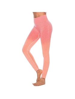 Womens High Waist Seamless Leggings Gym Tight Yoga Pants Tummy Control Workout Leggings Fitness Shark