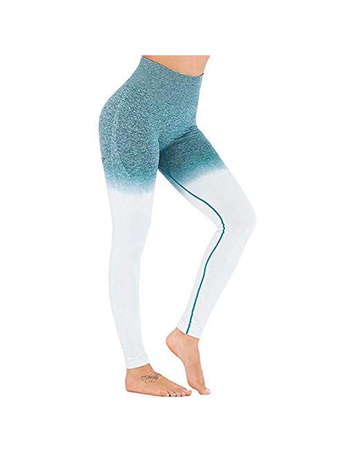 JGS1996 Women’s High Waist Seamless Leggings Gym Tight Yoga Pants Tummy Control Workout Leggings Fitness Shark