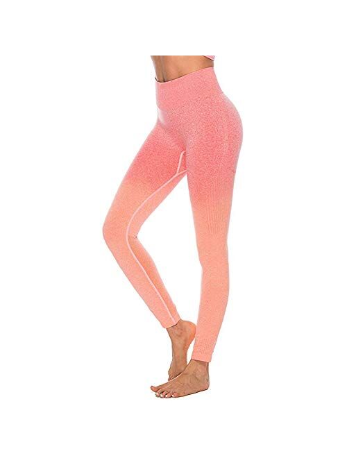 JGS1996 Women’s High Waist Seamless Leggings Gym Tight Yoga Pants Tummy Control Workout Leggings Fitness Shark