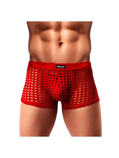 Arjen Kroos Mens Boxer Briefs Breathable Hot Mesh Underwear