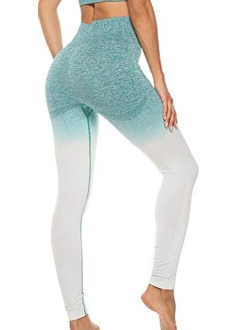 Womens High Waist Yoga Leggings Seamless Fitness Sports Gym Pants Shark Trousers