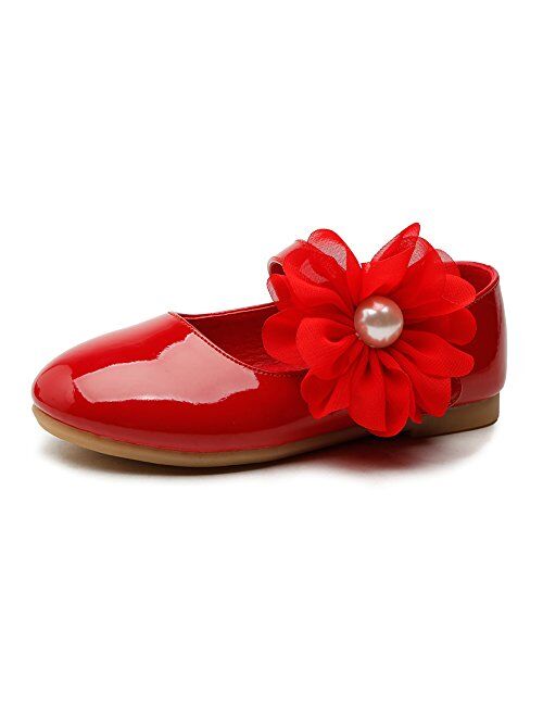 Chiximaxu Girls Ballerina School Flower Flat Shoes (Toddler/Little Kid/Big Kid)