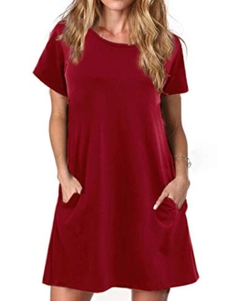 Alaster Women’s Casual Summer T Shirt Dress Loose Short Sleeve Tunic Dress with Pocket for Women