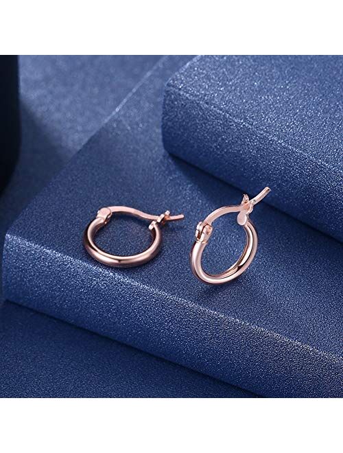 Sterling Silver Hoop Earrings, Small Clasp Hoop Earrings in Gold, Rose Gold, Silver for Women Girls