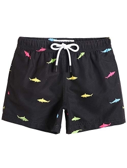 Swim Trunks Boys Toddler Bathing Suits for Kids Swimwear Baby Boy Swimsuit Boys Swim Shorts