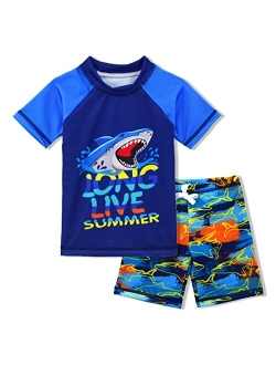 Boys Two Piece Rash Guard Swimsuits Kids Long Sleeve Sunsuit Swimwear Sets