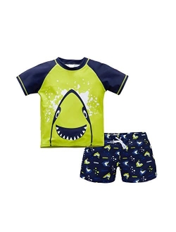 Vegaltair Little Toddler Boy's 2-Piece Swimsuit Trunk and Rashguard Ages 2-6 Years