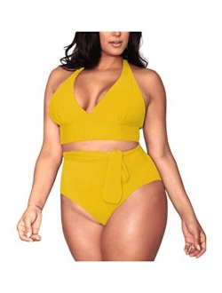 Pink Queen Women's Halter Plus Size Two Piece Swimsuits High Waisted Bikini Set Swimwear