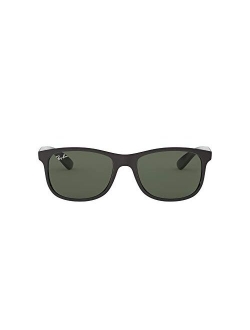 RB4202 Andy Rectangular Sunglasses