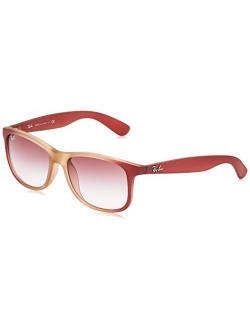 RB4202 Andy Rectangular Sunglasses