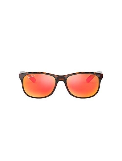 RB4202 Andy Rectangular Sunglasses