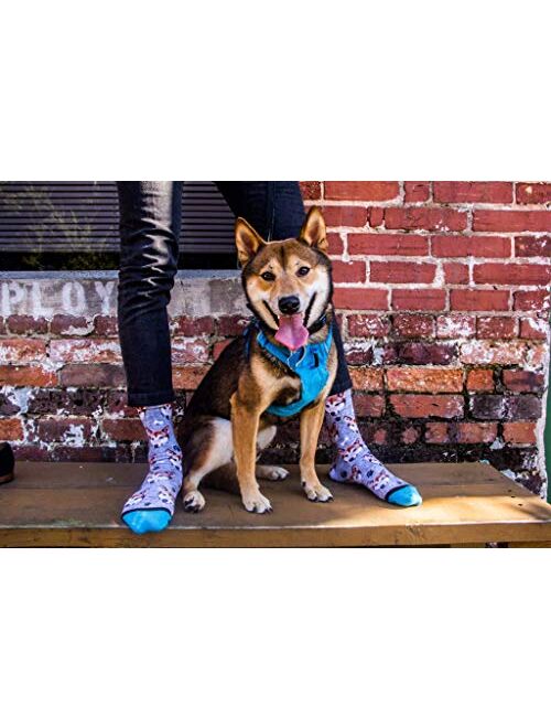 DivvyUp Socks - Custom Dog Socks - Put Your Dog on Socks!