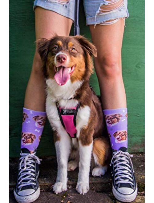 DivvyUp Socks - Custom Dog Socks - Put Your Dog on Socks!