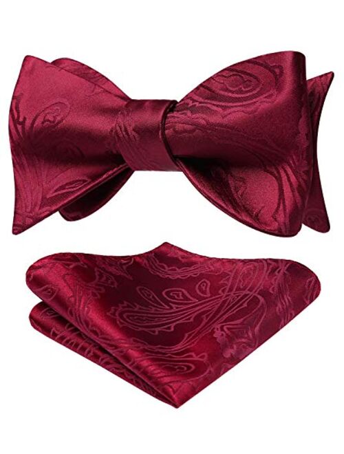 HISDERN Men's Floral Paisley Self Bow Ties Classic Formal Tuxedo Satin Woven Silk Bowtie for Wedding Party Prom with Gift Box