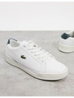 challenge sneakers in white green leather