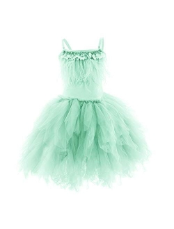 Kids Swan Princess Dance Costume Feather Ballerina Dress for Baby Girl Pageant Party Prom Birthday Short Gown