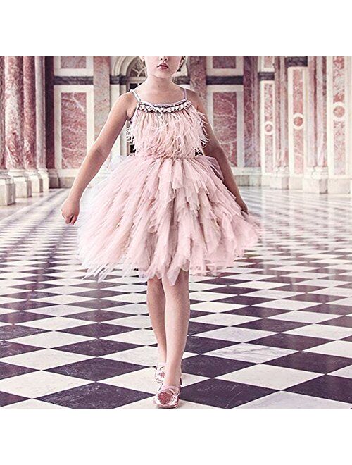 Buy IBTOM CASTLE Kids Swan Princess Dance Costume Feather Ballerina Dress  for Baby Girl Pageant Party Prom Birthday Short Gown online
