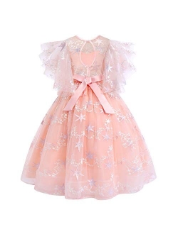 Flower Girls Princess Floral Boho Lace Embroidered Star Pageant Dresses for Kids Baby Party Wedding Puffy Communion Maxi Gown