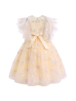 Flower Girls Princess Floral Boho Lace Embroidered Star Pageant Dresses for Kids Baby Party Wedding Puffy Communion Maxi Gown