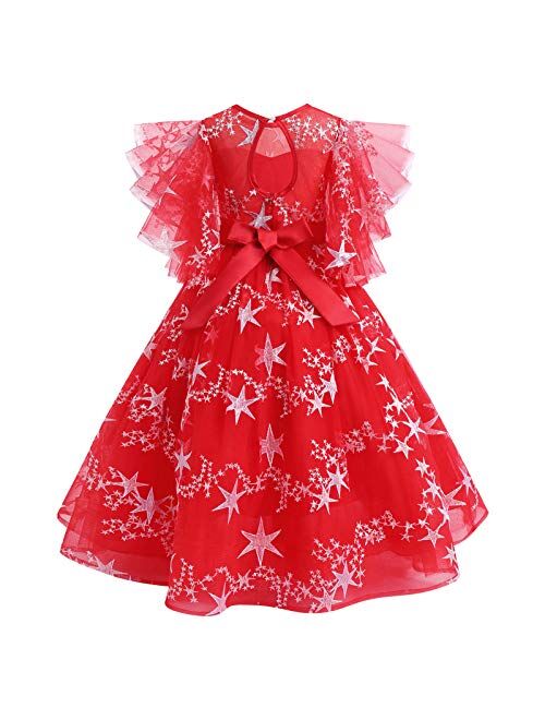 IBTOM CASTLE Flower Girls Princess Floral Boho Lace Embroidered Star Pageant Dresses for Kids Baby Party Wedding Puffy Communion Maxi Gown