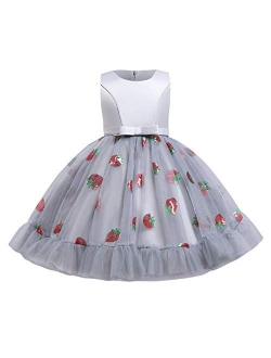 Girls Floral Shiny Strawberry Embroidery Princess Dress Kids Flower Ruffles Communion Party Pageant Wedding Formal Gown