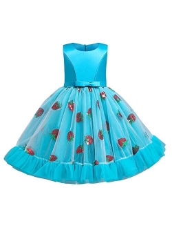 Girls Floral Shiny Strawberry Embroidery Princess Dress Kids Flower Ruffles Communion Party Pageant Wedding Formal Gown