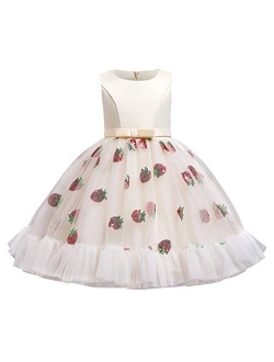 Girls Floral Shiny Strawberry Embroidery Princess Dress Kids Flower Ruffles Communion Party Pageant Wedding Formal Gown