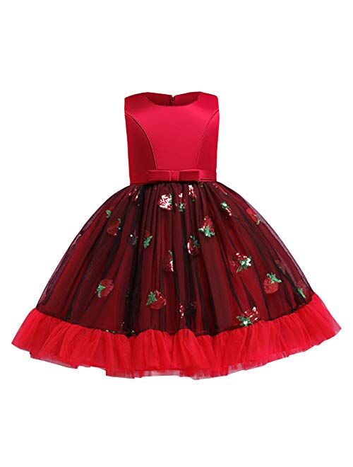 IBTOM CASTLE Girls Floral Shiny Strawberry Embroidery Princess Dress Kids Flower Ruffles Communion Party Pageant Wedding Formal Gown