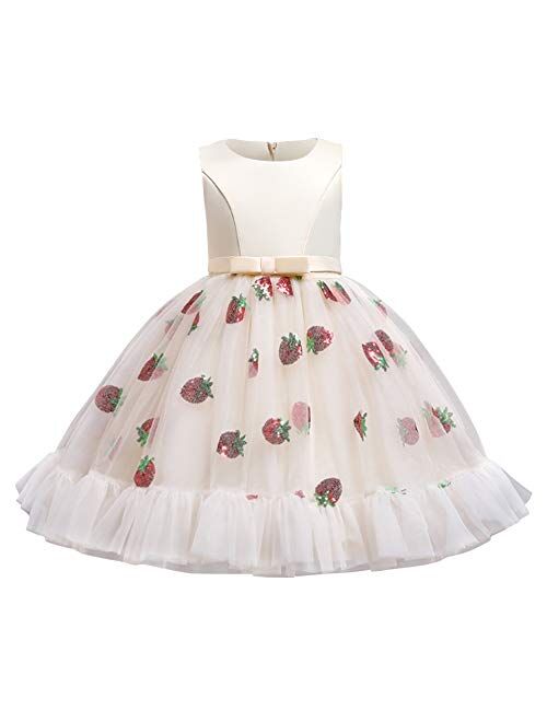 IBTOM CASTLE Girls Floral Shiny Strawberry Embroidery Princess Dress Kids Flower Ruffles Communion Party Pageant Wedding Formal Gown