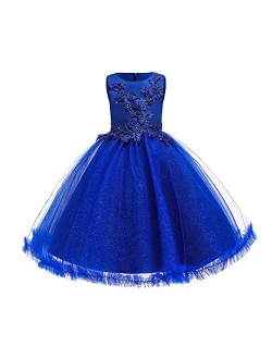 Big Girl Flower Lace Princess Tulle Long Dress for Kids Prom Formal Pageant Dance Gown