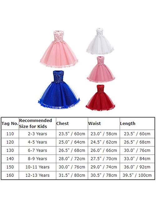 IBTOM CASTLE Big Girl Flower Lace Princess Tulle Long Dress for Kids Prom Formal Pageant Dance Gown