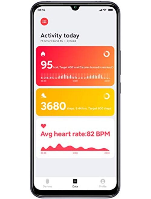 Xiaomi Mi Smart Band 4C
