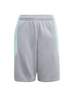 Big Boys Sport Collection Shorts