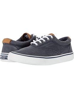 Striper II CVO Canvas Sneaker