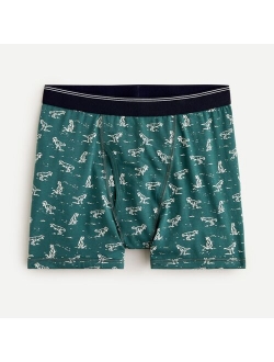 Boxer briefs in print