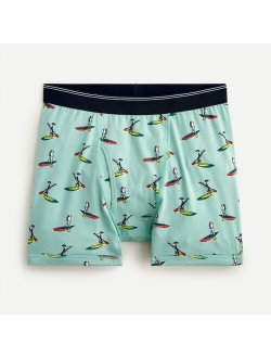 Boxer briefs in print