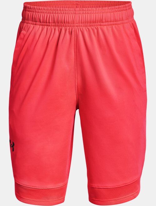 Under Armour Boys' UA Training Stretch Shorts